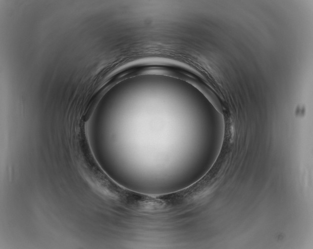 X0000090870215200707271257