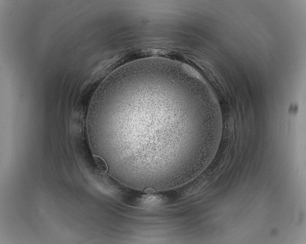 X0000090870218200707271257