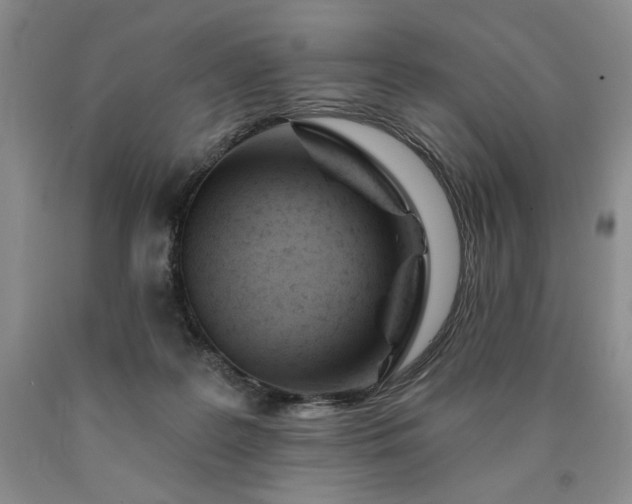 X0000090870219200707271257