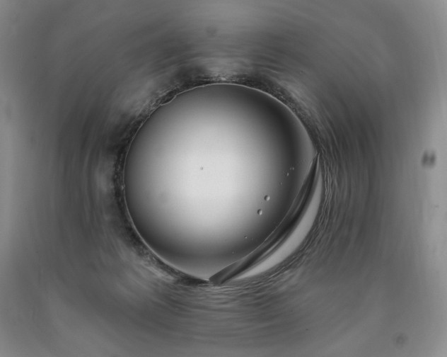 X0000090870221200707271257