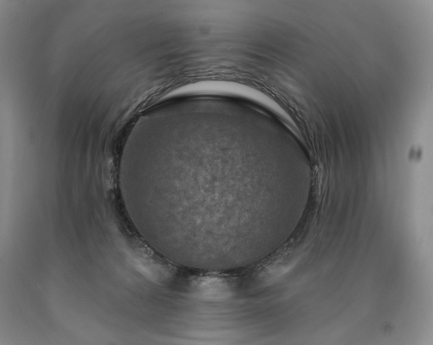 X0000090870224200707271257