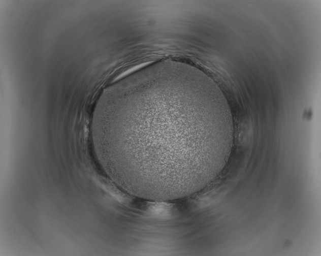 X0000090870226200707271257