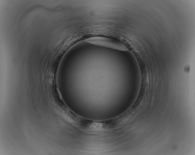 X0000090870227200707271257