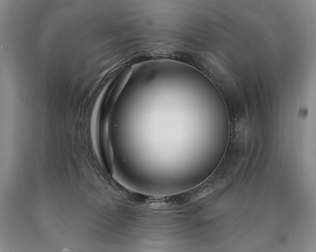 X0000090870228200707271257