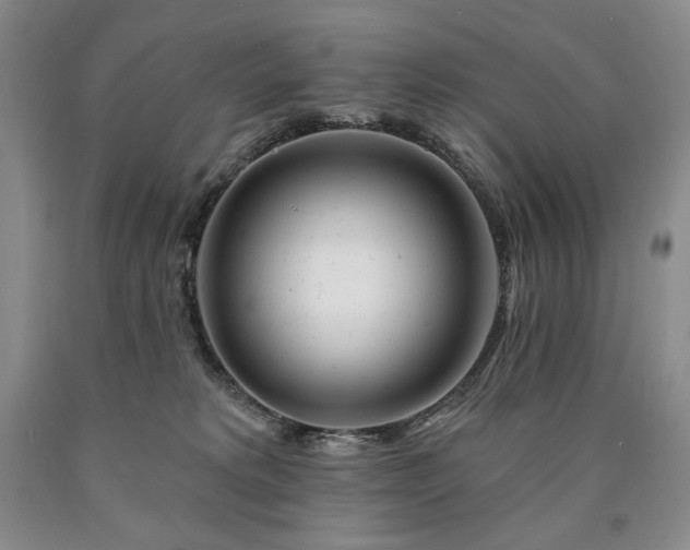 X0000090870229200707271257