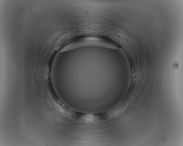 X0000090870231200707271257