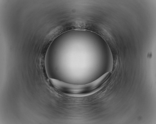 X0000090870233200707271257