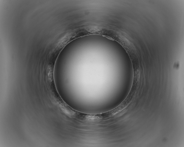 X0000090870234200707271257