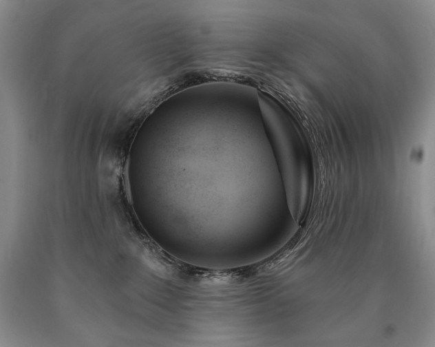 X0000090870235200707271257