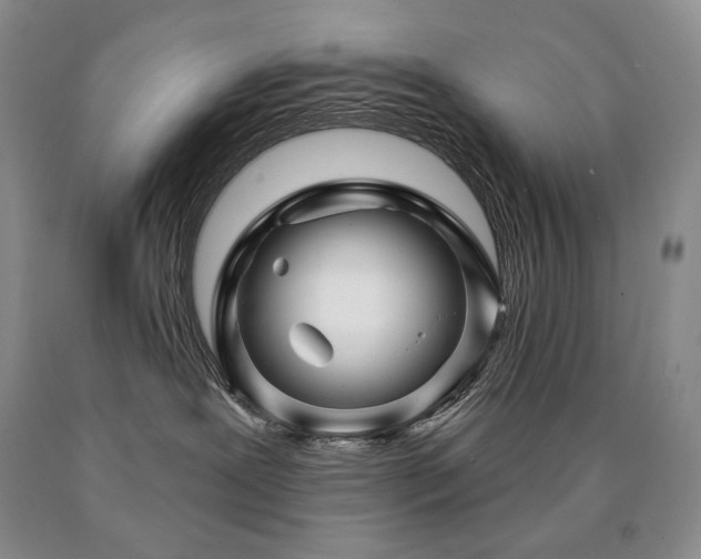 X0000090870239200707271257