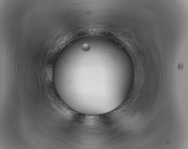 X0000090870240200707271257