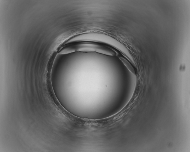 X0000090870242200707271256