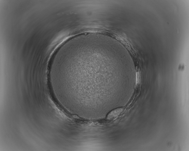 X0000090870243200707271256