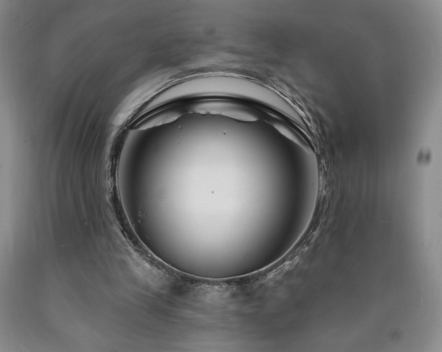 X0000090870245200707271256