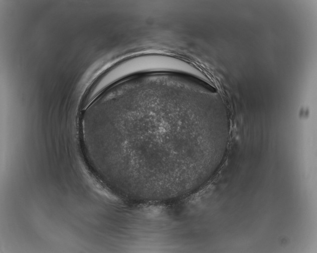 X0000090870247200707271256