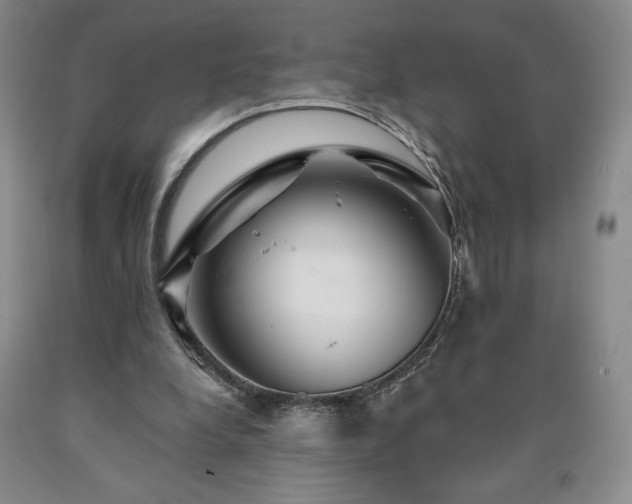 X0000090870248200707271256