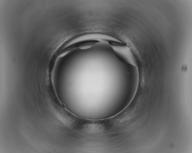 X0000090870251200707271256