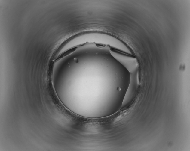 X0000090870252200707271256