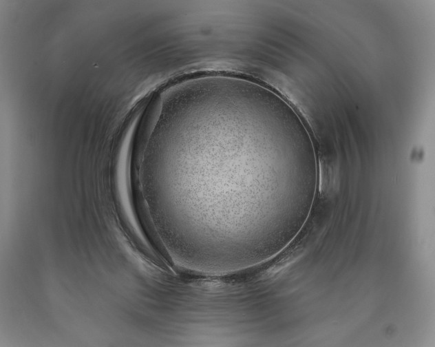 X0000090870253200707271256