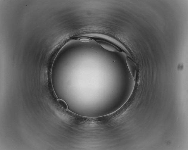 X0000090870254200707271256