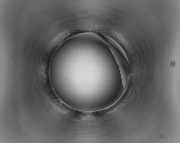 X0000090870258200707271256