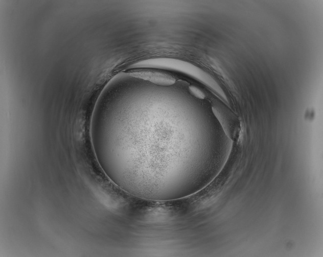 X0000090870259200707271256