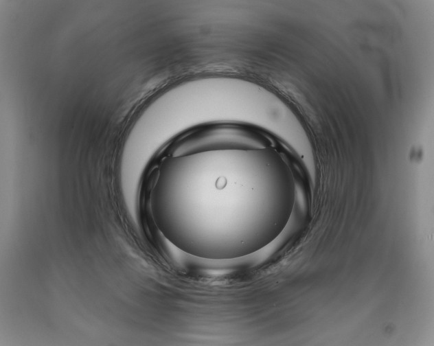 X0000090870260200707271257