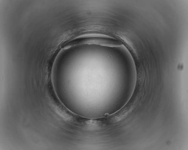 X0000090870261200707271257