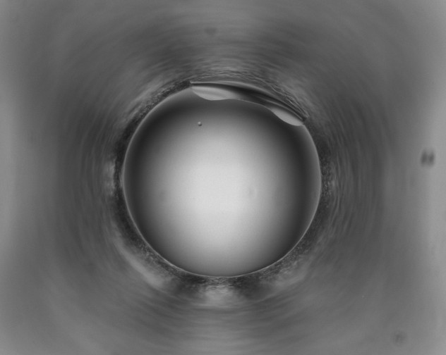 X0000090870262200707271257