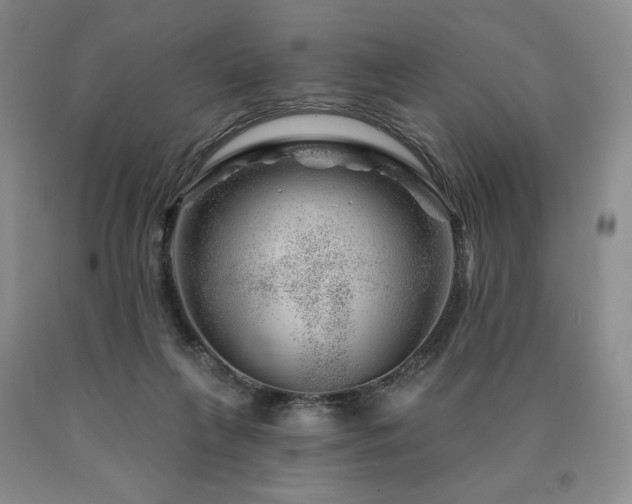 X0000090870263200707271257