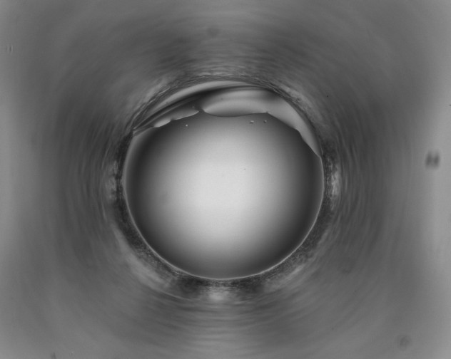 X0000090870264200707271257