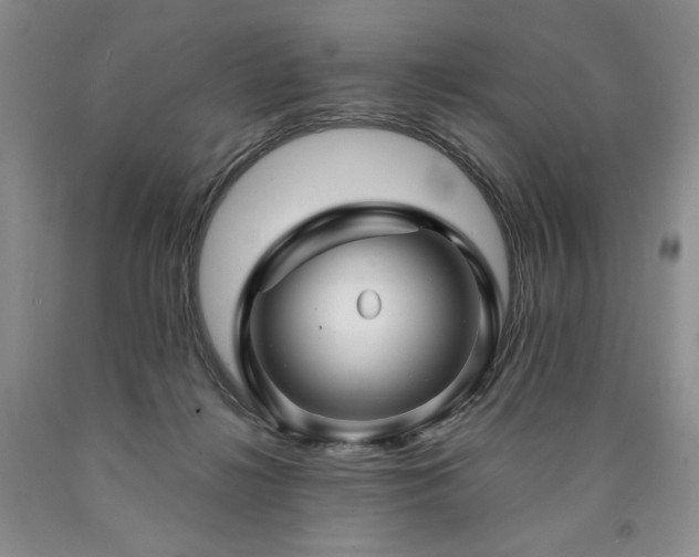 X0000090870268200707271257