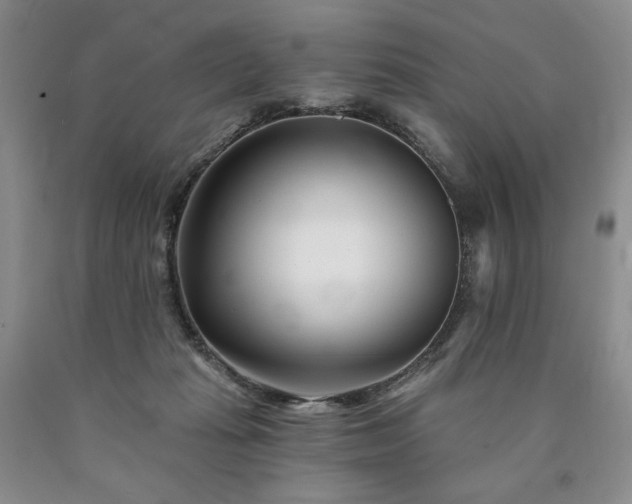 X0000090870269200707271257