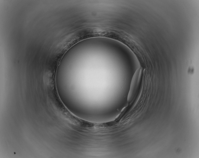 X0000090870270200707271257