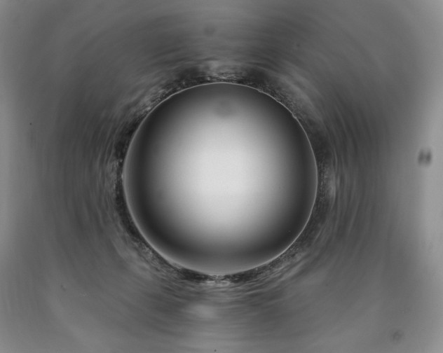 X0000090870271200707271257