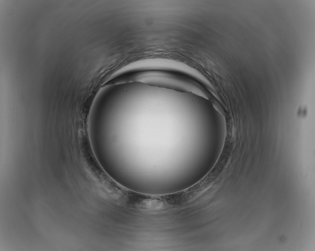 X0000090870272200707271257