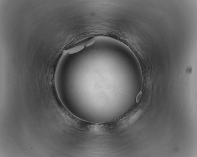 X0000090870273200707271257