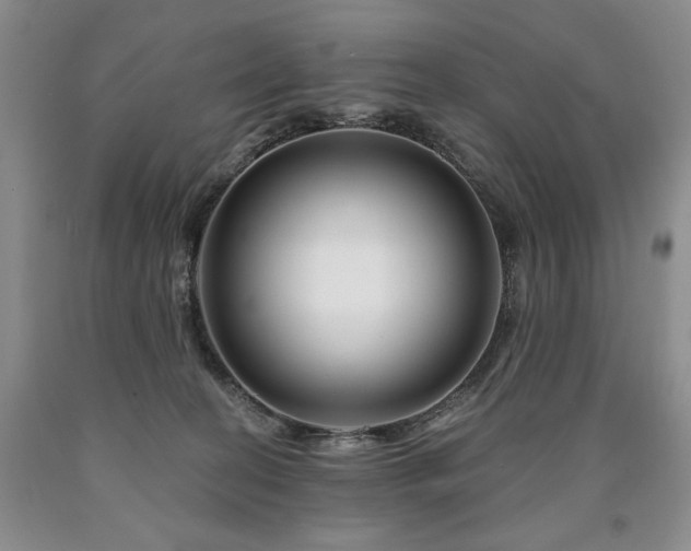 X0000090870274200707271257