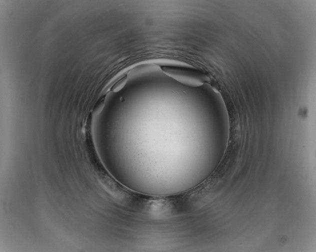 X0000090870275200707271257