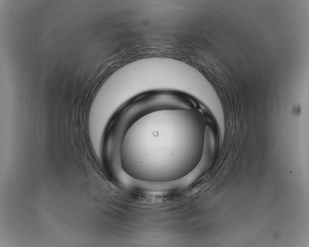 X0000090870276200707271257