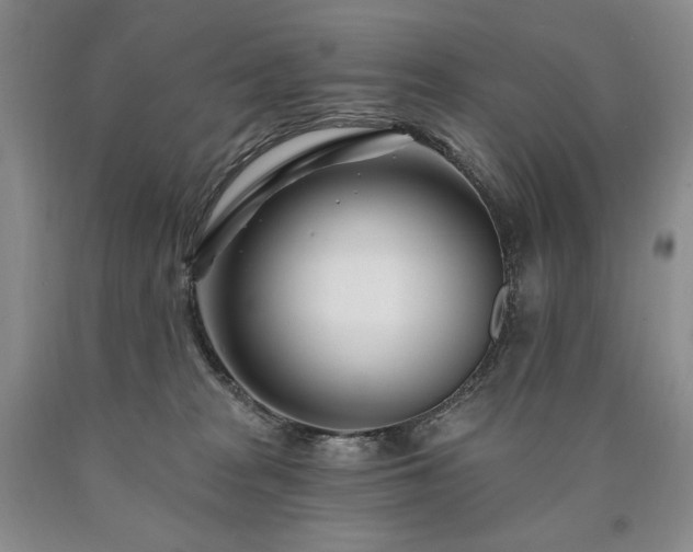 X0000090870277200707271257