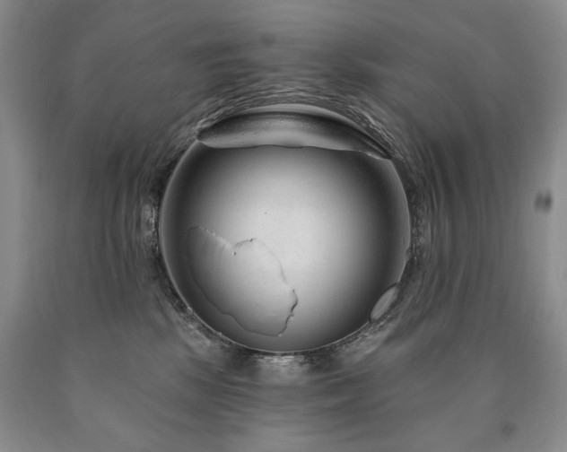 X0000090870281200707271257