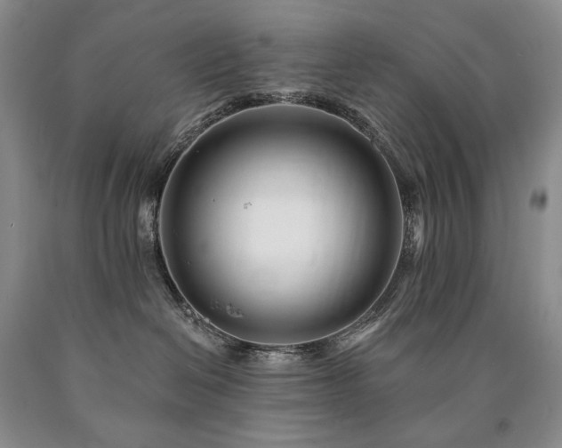 X0000090870286200707271257