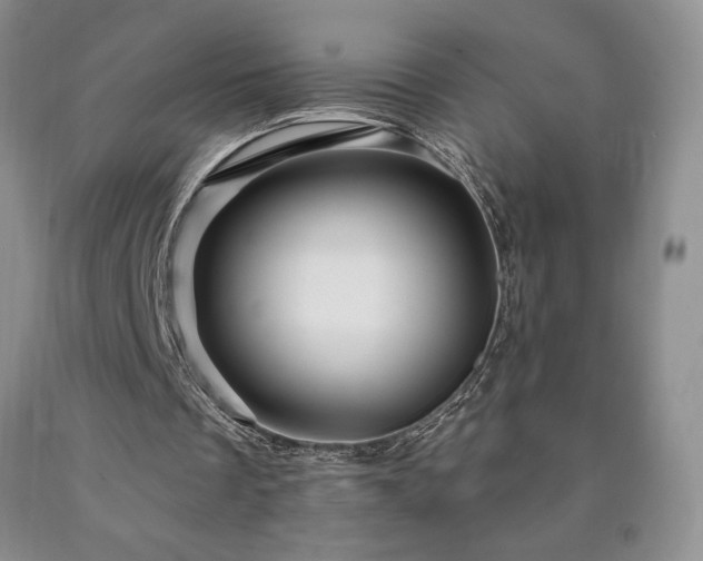 X0000090870289200707271256