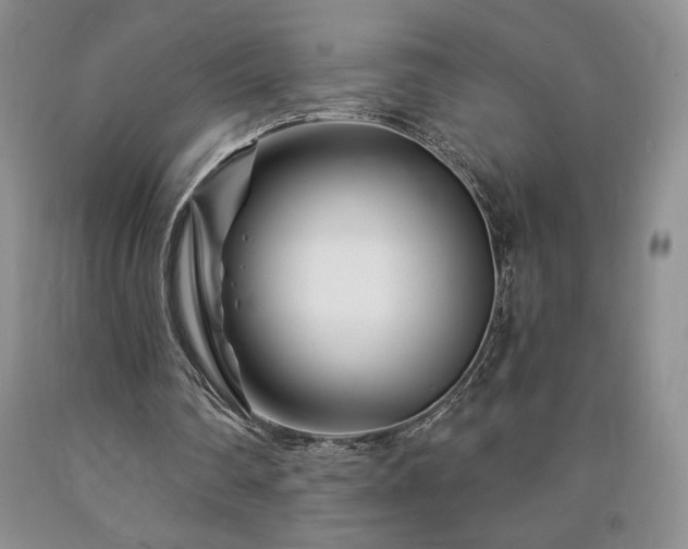 X0000090870290200707271256