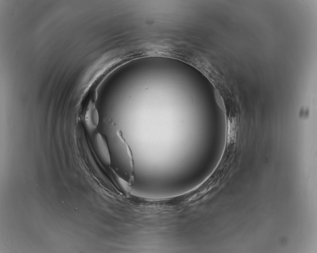 X0000090870291200707271256