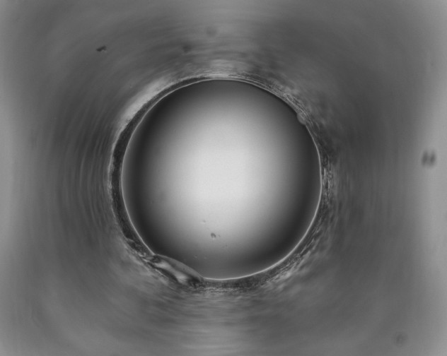 X0000090870292200707271256