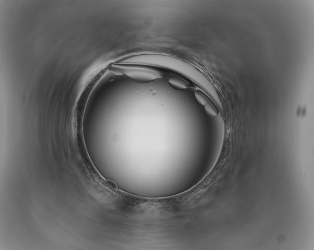 X0000090870294200707271256