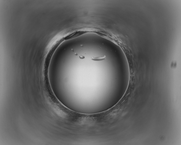 X0000090870296200707271256