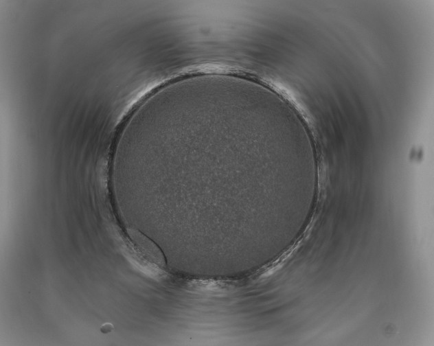 X0000090870297200707271256